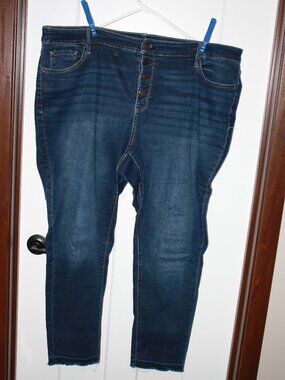 a.n.a. Blue, Button fly jeans, size 24W EUC